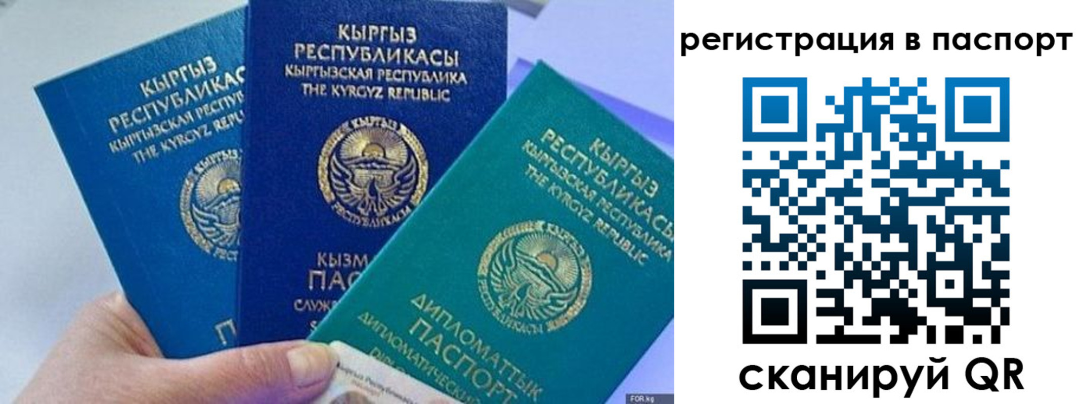 прописка 2025 в Вяземском